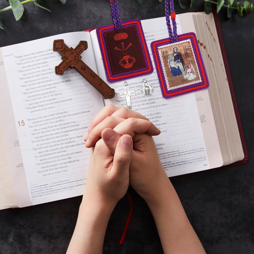 TALPGOD Purple Escapularios Catolicos Catholic Scapular Marie Julie Jahenny of B - Picture 4 of 12