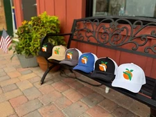 State of FLORIDA Hat SnapBack Trucker Mesh Cap HGTV Sebring