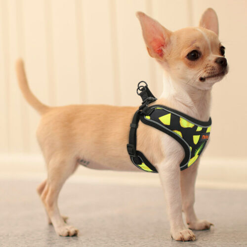 Geschirr Welpe Hundegeschirr Reflektierend für Kleine Hunde Dackel Chihuahua XS - Bild 12 von 15
