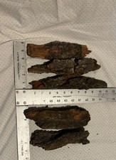 5 Piece Lot Thick, Clean, Dry, Central MN, HandpickedCottonwood Bark for Carving