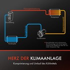 Bild 4 von 8