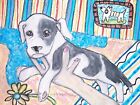 American Pit Bull Terrier Playing Puppy Art Print 8x10 Dog Collectible Signed