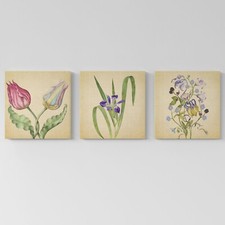 Set 3 Quadri Moderni con Fiori |Q1129| Trittico Stampe su tela Botaniche