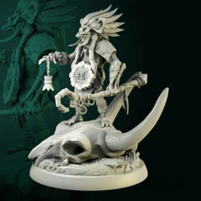 Mbonga the Hex Master Troll Druid Cleric Sorcerer Warlock Miniature | D&D DnD