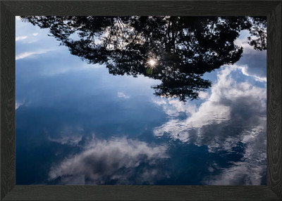 Reflektierter Himmel und Baum gerahmtes Wandbild Poster Leinwanddruck Bild