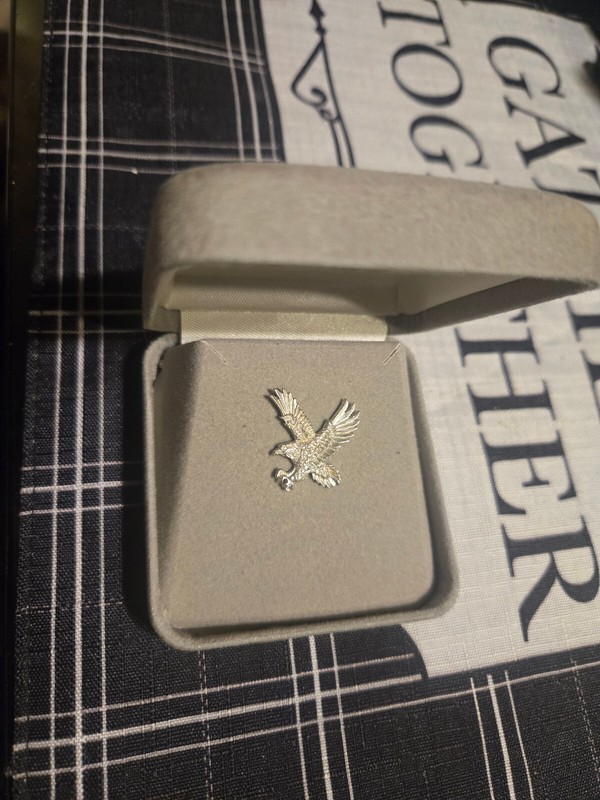 Vintage sterling Colorado silver Lapel Tie Pin Brooch eagle bird