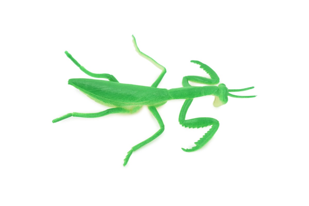 Praying Mantis Toy Rubber Insect, Realistic Hand Painted