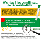 Bild 8 von 41