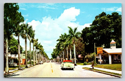 #ad c1950s Royal Palm Trees Classic Car 14th Street Bradenton Florida P261 $3.49