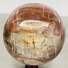 Natural Petrified Wood Polished Stone Quartz Crystal Sphere Ball Healing 3600G — photo 1