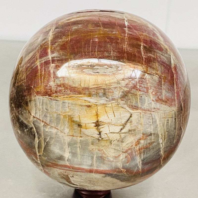 Natural Petrified Wood Polished Stone Quartz Crystal Sphere Ball Healing 3600G