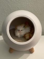 Cat Pet House Table Lamp, Cute Cat Night Light Little Pet House
