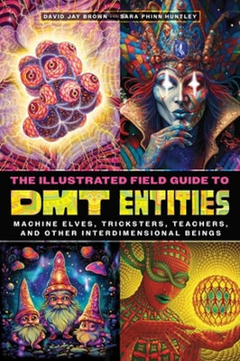The Illustrated Field Guide to Dmt Entities: Machine Elves, Tricksters, Teachers
