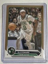 2023-2024 Topps G-League  #46 DJ Steward Bronze / 199