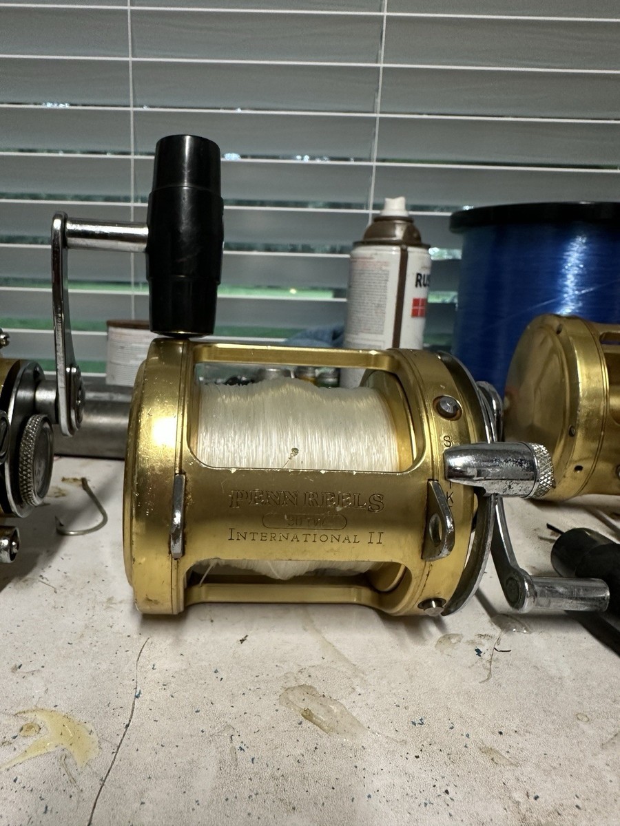 リール PENN international 2 Penn INTERNATIONAL 30VISXS SILVER Series Two 2 Speed Reel