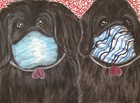 Newfoundland Collectible Folk Art Print 11x14 Signed Artist Ksams Quarantine Dog