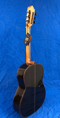 Raimundo #180 Concert Classical Guitar Solid Madagascar RW