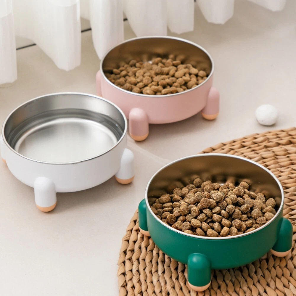 Dog food accessories hot sale