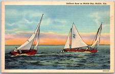 Mobile Alabama AL, Sailboat Race on Mobile Bay, Buccaneer Yacht Club, Postcard