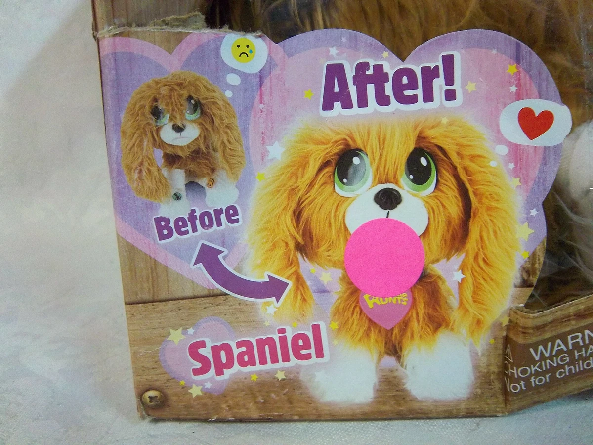 Toy top spaniel rescue