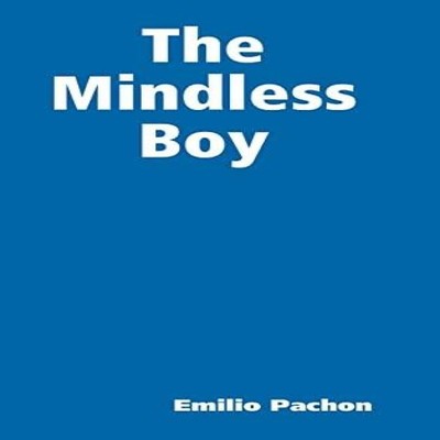 The Mindless Boy Lulu Press Inc. Hardcover Lulu Press Inc.