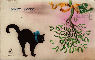 CPA AK Frohes Neues Jahr Katzen (1341356)