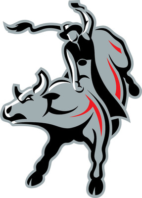 Professional Bull Riders PBR Pro Rodeo Ford Vinyl Sticker Decal Car Bumper Truck
