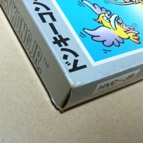 There is a box theory Donkey Kong JR. Famicom