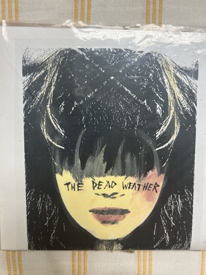 Hand Painted!!! Hang You From the Heavens/Are Friends Electric? By Dead Weather