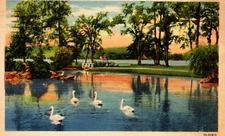 A Beauty Spot on Chautauqua Lake NY Postcard Posted 1938 Colorized Linen Border