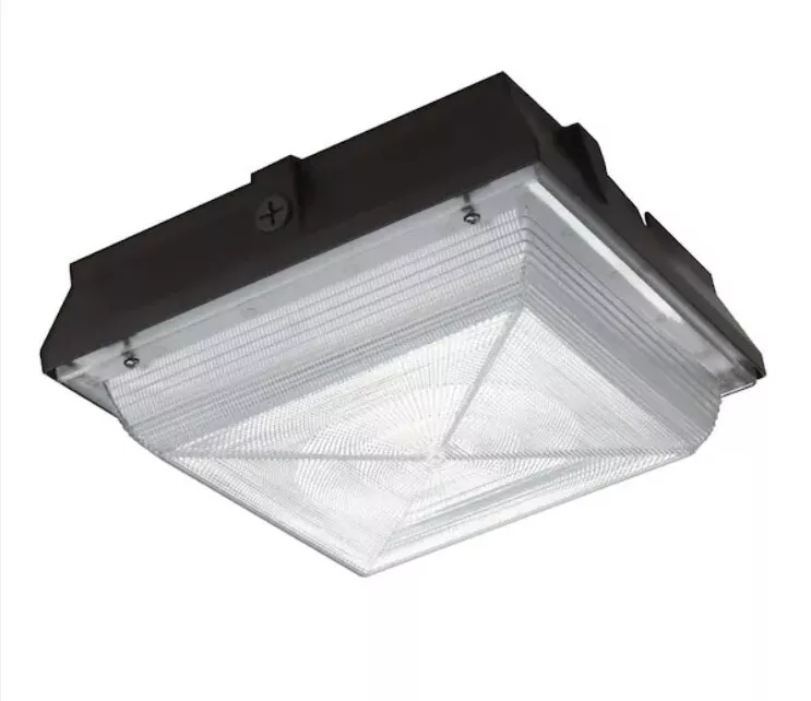 Bronze 2024 security light