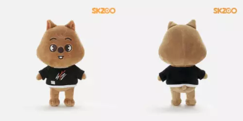 Stray Kids Skzoo OFFIZIELLES Kpop Streuner Kinder Plüschtiere POPUP Puppe Spielzeug Geburtstagsgeschenk- - Bild 17 von 32
