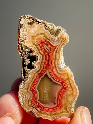 High-Grade Parallax Banded Laguna Agate | Bright Red & Yellow | Mexico | Polish