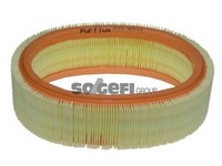Luftfilter Purflux A1278 Filtereinsatz FüR Clio Kangoo Dacia MCV Solenza Logan 1