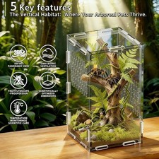 Acrylic Jumping Spider Habitat, Insect Terrarium, Bug Enclosure, Praying Mant...
