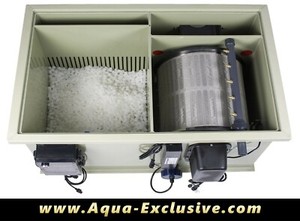 Pool Pond Filter RDF |New 2021 Rotary Drum Filter Aquaculture Pond Best Fish Pool Pond Filter RDF |New 2021 Rotary Drum Filter Aquaculture Pond Best Fish