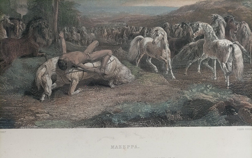 1850 ca. Antica incisione su acciaio Cavalli Mazeppa - Foto 2 di 6