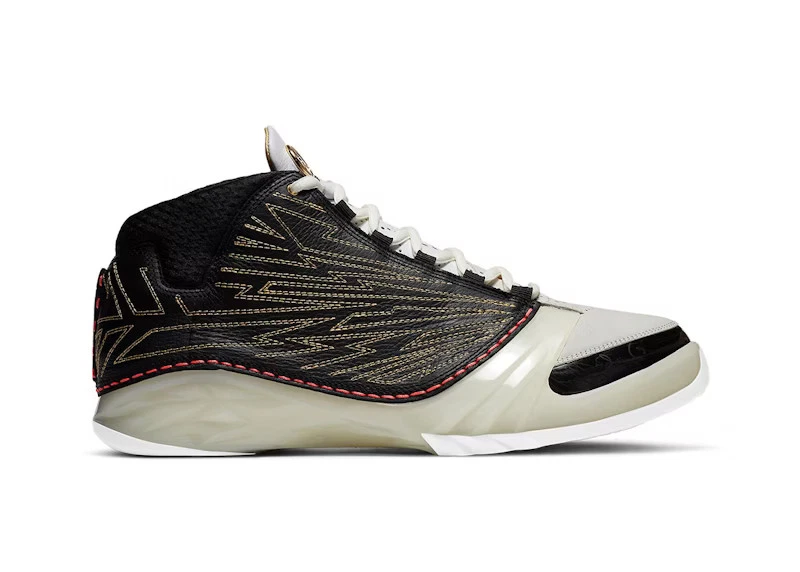 Titan x Air Jordan 23 Retro SP 10th Anniversary for Sale
