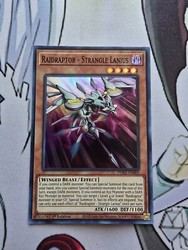 Raidraptor - Strangle Lanius (PHRA-EN005) - Super Rare - 1st Edition