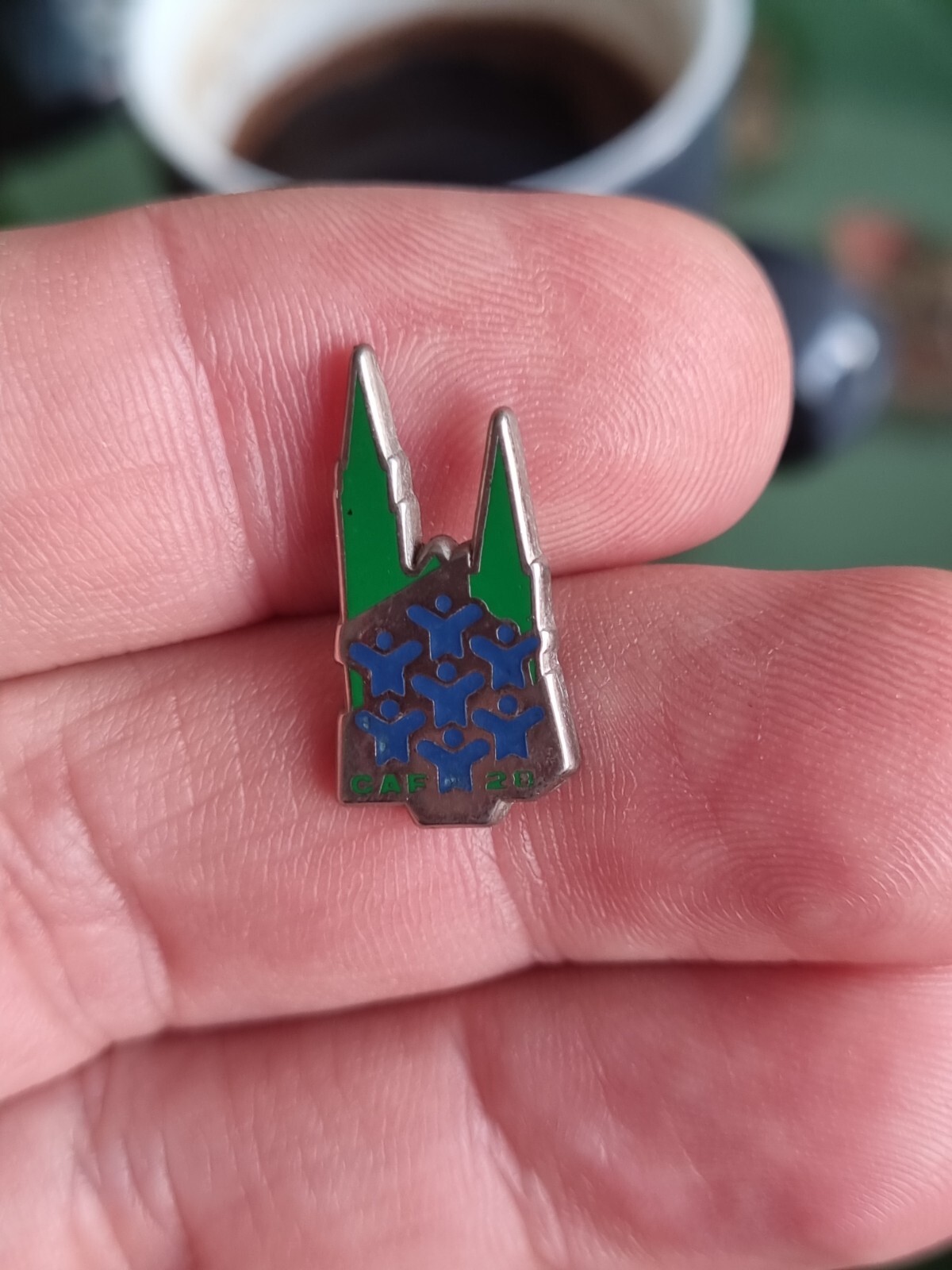 Pin's Oberlin – Rare, Collection, Vintage – Pièce De Collectionneur
