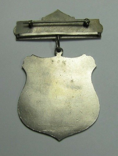 NEOP NUEVA INGLATERRA ORDEN UNIDA PARA PROTECCIÓN Antiguo Pinback Medallón Insignia - Imagen 2 de 4