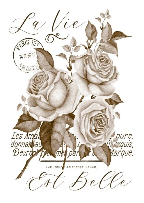 Aufkleber-Möbeltattoo-transparent-Shabby-Vintage-sepia-Shabby Roses-Rose-1267