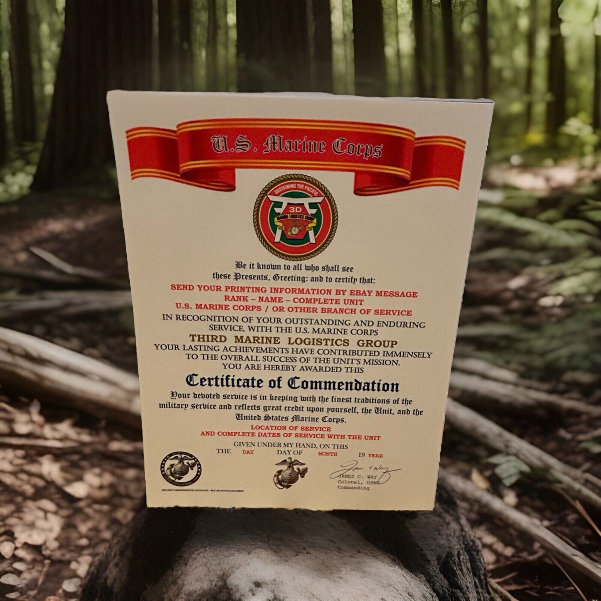 MARINE CORPS 3RD MARINE LOGISTICS GROUP CERTIFICATE OF COMMENDATION