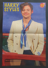 HARRY STYLES - CANTANTE ATTORE - POSTER 41 X 27,5 CM