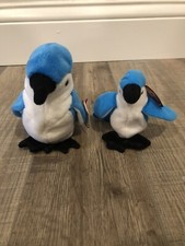 Ty ROCKET Retired Beanie Baby W/ RARE Errors Blue Jay COLLECTABLE Plus TEENIE