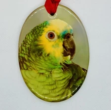 Amazon Parrot Christmas Tree Ornament Porcelain Oval Wildlife Bird Lover Gifts