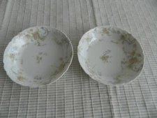 Haviland & Co. Limoges China Schleiger 57C (2) Fruit Bowls                  10-1