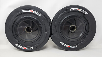 Set of 2 Bowflex Revolution 40lb Spiraflex Weight Plates (80lb Total) w/ Box