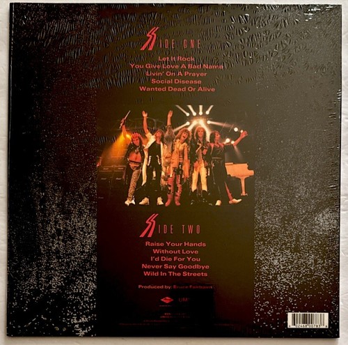 BON JOVI - Slippery When Wet Picture Disc Vinyl Limited Edition New - Picture 2 of 3