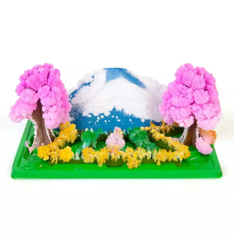 Grow Magic Garden Toy eBay